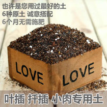Succulent seeding soil leaf cuttings Seedling Small meat special soil breeding Fine particle formula nutrition