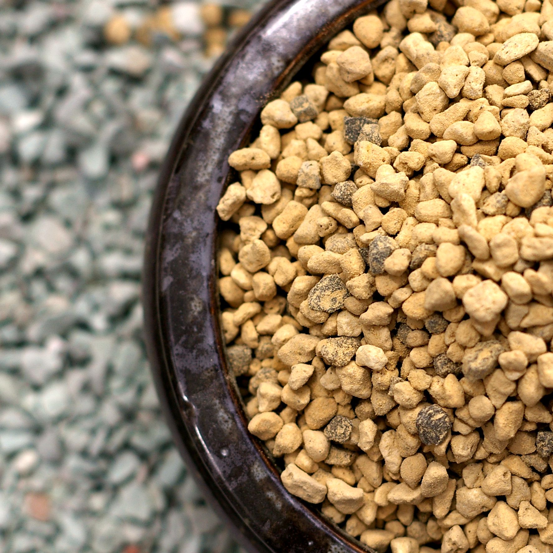 Nikuishi Imported from Japan Micro) small) Medium 3 Specifications Lanco succulent medium 1L 600g