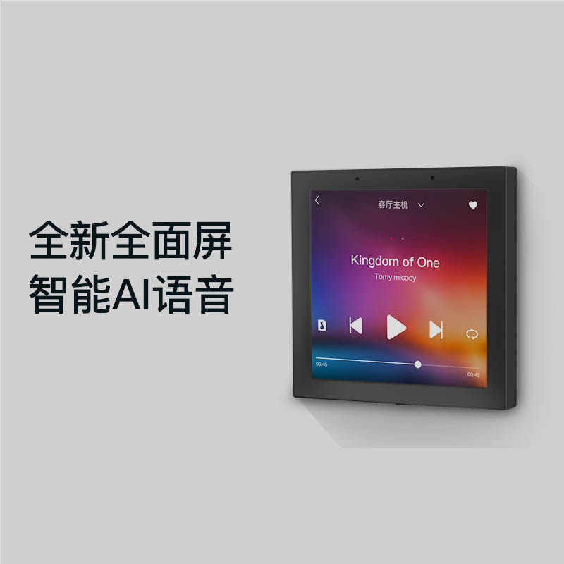 B6 Graffiti Background Music System 86 Family Background Music Voice Host E5 Whole House Suction Sound Set