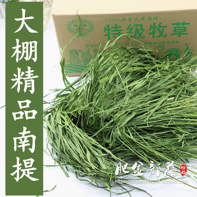 Greenhouse Nanti chinchilla Timothy grass rabbit food guinea pig hay feed rabbit grass drying snacks