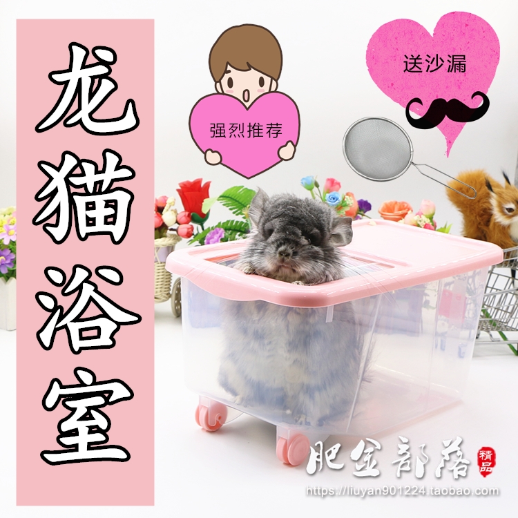 Dragon Cat Bathroom Squirrel Bathroom Bathroom Bathroom Bathroom Prevention Splash Dust Fat Gold Tribe Pet Supplies