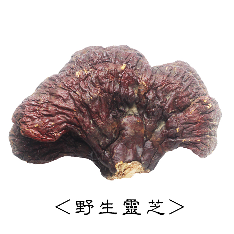 Changbai Mountain Extra Large Wild Ganoderma Lucidum Wild Purple Ganoderma lucidum dry goods Northeast Ganoderma lucidum whole flower tea Linzhi bubble wine