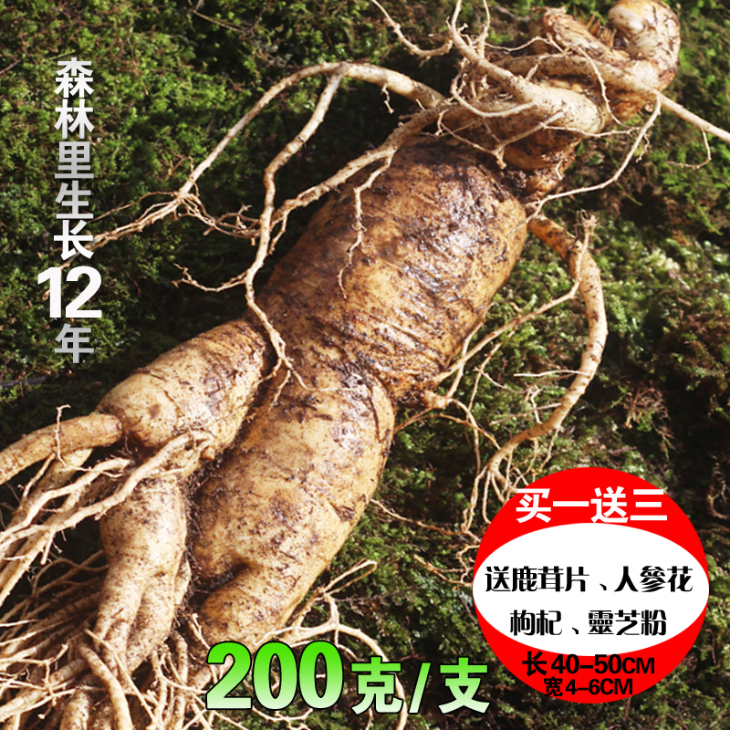 Single branch 200 gr packs Shunfeng Changbai Mountain extra-large ginseng and ginseng Northeast ginseng Fresh large ginseng Mountain ginseng