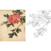  Gongbi painting white sketch background draft Flower physical hook line print draft Yu Zhizhen ink sprinkling gold size optional-JV21