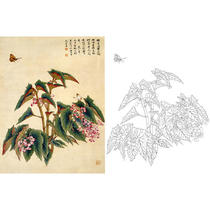 Meticulous painting line drawing draft flower physical hook line printing draft Yu Zhizhen silver star Begonia size optional-JV40
