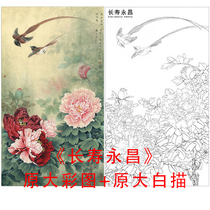 Meticulous painting line drawing draft flower and bird ribbon Li Xiaoming three feet long life Yongchang line drawing physical print 864C