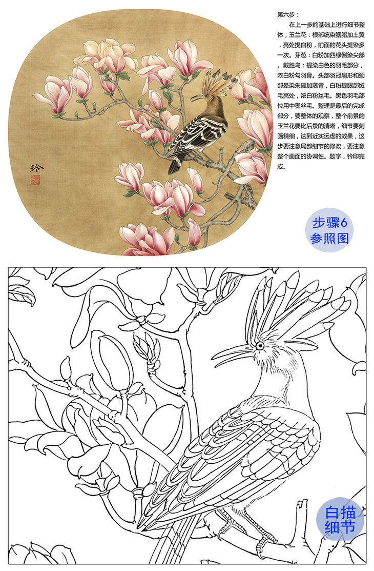 товар из китая 工笔画白描打印底稿玉兰郑玲玲玉堂富贵40*43原大有步骤说明004z
