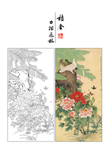 Meticulous painting line drawing draft Peony pigeon Yu Jigao physical hook line printed manuscript 66*132 with color picture 107T