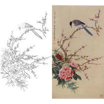 Gongbi painting white sketch print draft Vertical plum camellia physical hook line print draft Yu Zhizhen Size optional A126