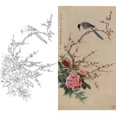Gongbi painting white sketch print draft Vertical plum camellia physical hook line print draft Yu Zhizhen size optional A126