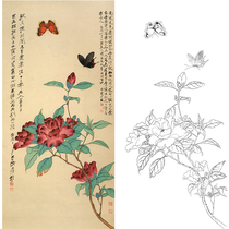 Gongbi painting white sketch manuscript Yu Zhizhen Camellia original large physical print 47*95 with color map 677T