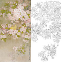 Gongbi painting white sketch print draft Zhou Zhongyao Cherry blossom warbler one or two warbler 60*120 Original large size with color map 762T