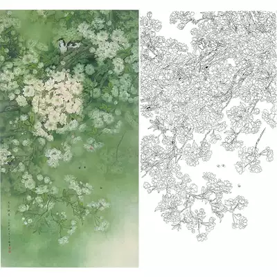 Meticulous painting white drawing draft draft Zhou Zhongyao Jade quality 90*170 original large color pattern 624T