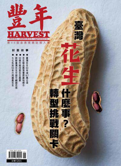 豐年 2026年6月 臺灣花生什麼事 轉型挑戰卡關