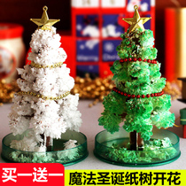 Buy one get one free science experiment toy paper tree flowering Christmas tree will grow magic crystal tree Christmas gift