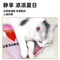 Pet lucky pet ice mat Dog cat mat Summer waterproof cooling bite-resistant sleeping mat Cat nest Pet supplies