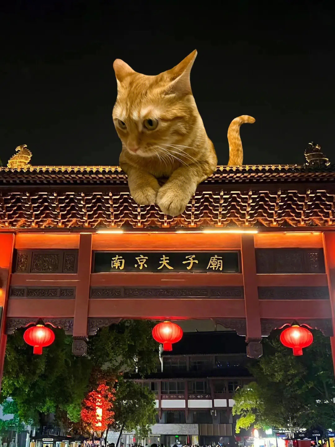 夫子廟的夫子喵
