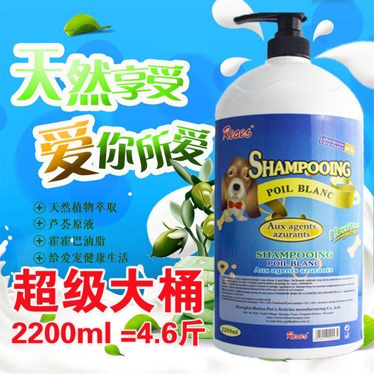 Dog Body Wash of Bath Lotion Germicidal Deodorant Teddy Gold Wool sammoye Pet Pet Shampoo for a large bucket