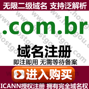 .com.br domain name registration supports pan-resolution unlimited second-level domain rice foreign trade Brazil website purchase application