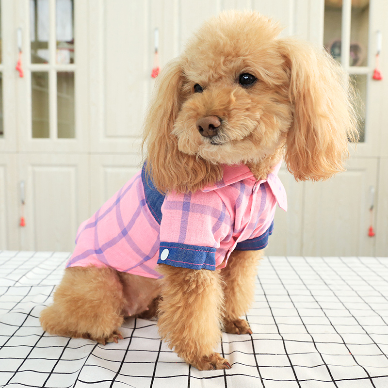 Quần áo chó Teddy mùa xuân và mùa thu Keji thú cưng quần áo quần áo mùa hè Bomei chó con nhỏ áo sơ mi kẻ sọc mèo - Quần áo & phụ kiện thú cưng thời trang cho chó