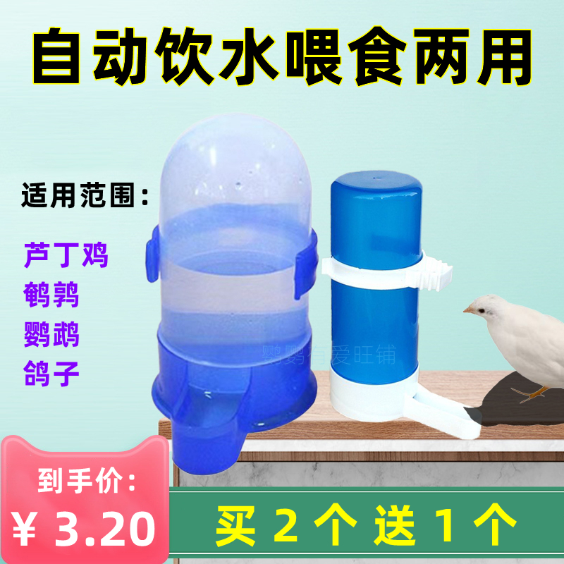 New parrot pigeon bird with automatic water drinker size drink canned ruddin chicken feeder sink kettle