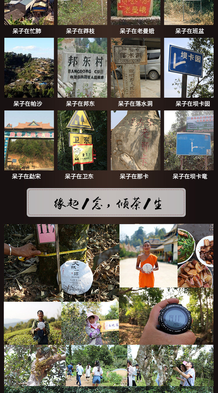 品牌介绍2_03.jpg