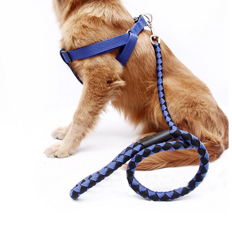 With Back Breast Dog Rope Dog Necklace Gold Mausa Moyeteddy Pet Supplies Traction Rope Walking Dog Rope