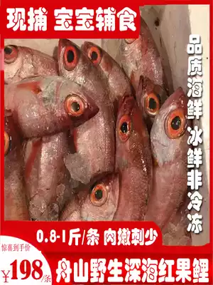 Zhoushan specialty wild deep-sea red fruit carp red fish fresh fishing Seafood about 9 two current catch