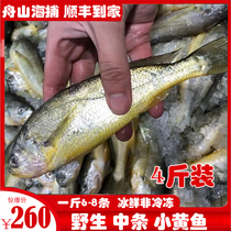 Sea fishing for small yellow fish 4 catchers Boats Hills Yellow Flowers Fish Fresh Aquatic Yellow Fish Ice Fresh Non Frozen Marine Fish Fresh