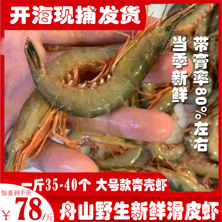 Zhoushan shrimp fresh sea fishing shrimp large shrimp skinny shrimp 40 or so pounds aquatic shrimp
