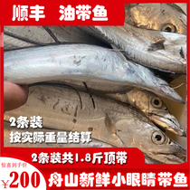Deep sea wild East China Sea Zhoushan Fresh whole oil with fish top with radar mesh small eyes with fish 8 2 -1 catties