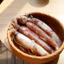 Zhoushan fresh local squid squid pen tube Squid Squid sea hare pen tube fish Small squid squid