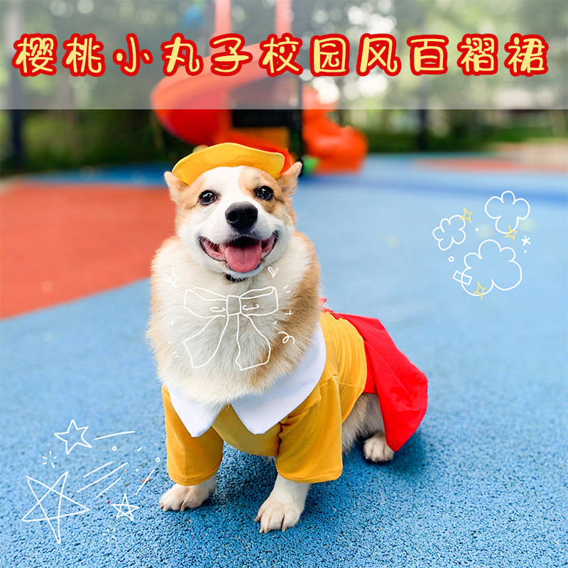Dogs clothes autumn and winter cute dresses Pet Cartoon Princess Dresses Dress With Little Balls Ko Kiefa Dogfight Ocean Dress