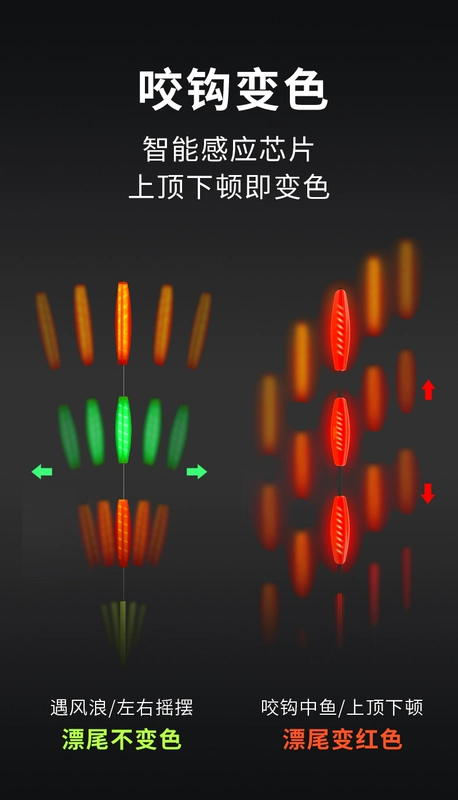 phao câu cá Bộ dây câu trơn Xiaofengxian, bộ phụ kiện câu cá đường trơn, lưỡi câu, phao đổi màu, phao cá chép bạc và cá chép đầu to đậm và bắt mắt phao câu đài phao handing