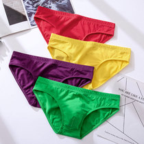 Mens Triangle Briefs Pure Cotton Pure Color Adult Sexy Triangle Pants Breathable Low Waisted Pants Head Yellow White Purple Blue Pink