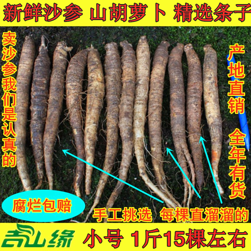 Fresh sand ginseng North Sand Ginseng 500g Mountain Carrot Mountain Melon Korean Cuisine Sand Ginseng Juice Full 4 Pounds Free 1 Pound