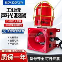 Spot audible and visual electronic buzzer JN991B-2D multifunction alarm horn TBJ-100Y electronic buzzer