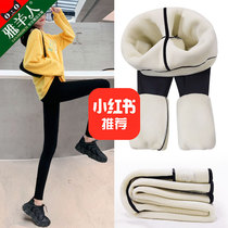 Plus velvet leggings womens pants winter wear high waist belly lift hip airplane Barbie autumn and winter lamb velvet shark pants