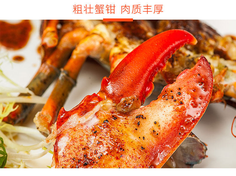 龙虾_11.jpg