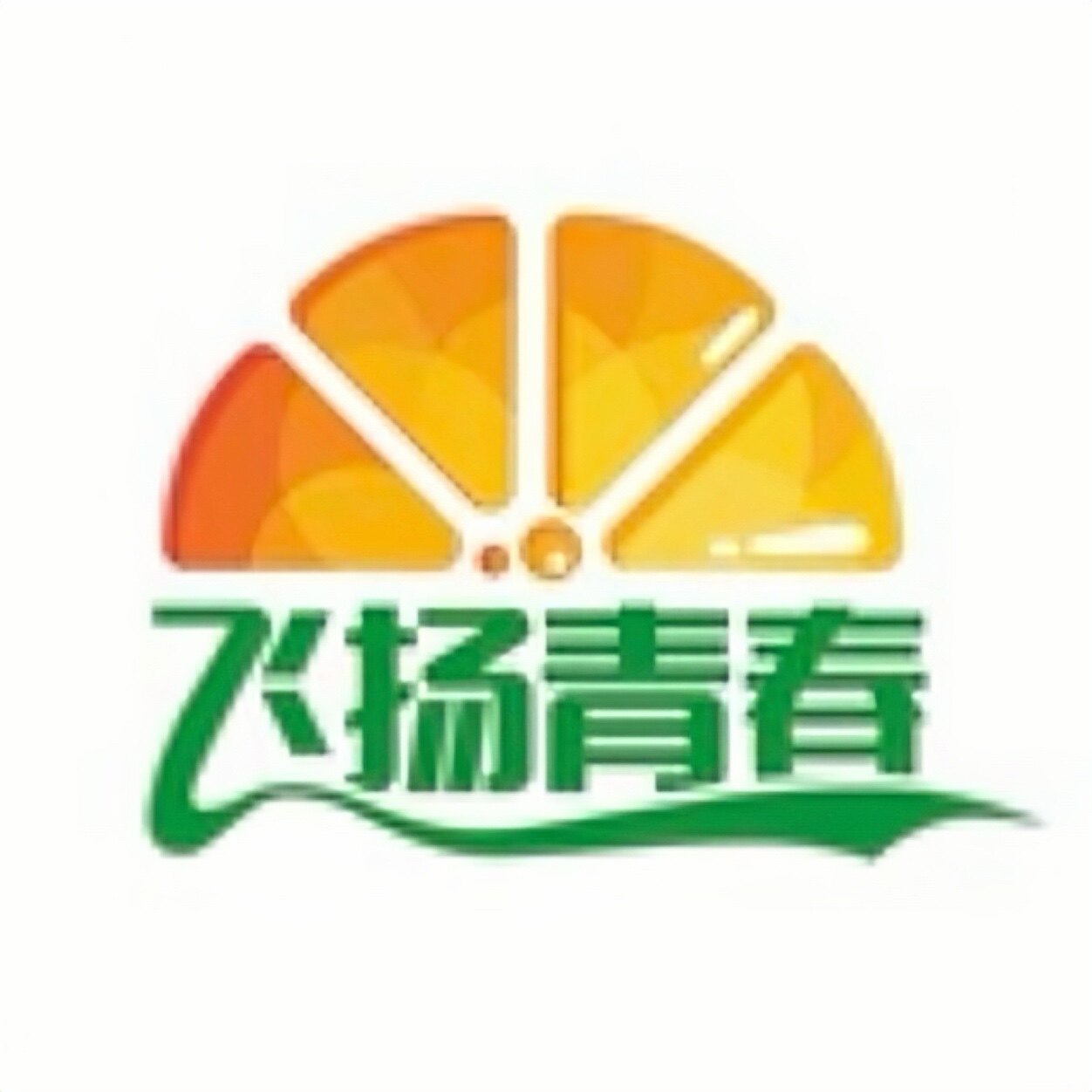 飞扬青春体育