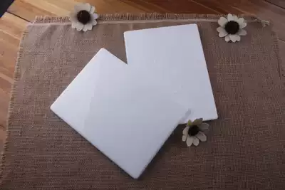 10 inch highlight plate imitation Italian porcelain plate (18 x24) rectangular ellipse