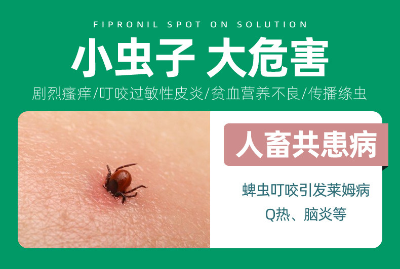小宠 非泼罗尼滴剂 狗狗体外驱虫滴剂 图2