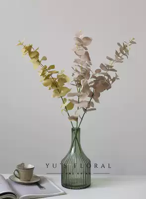 Simulation plant gray Eucalyptus low saturation color home decoration photography props gray yellow