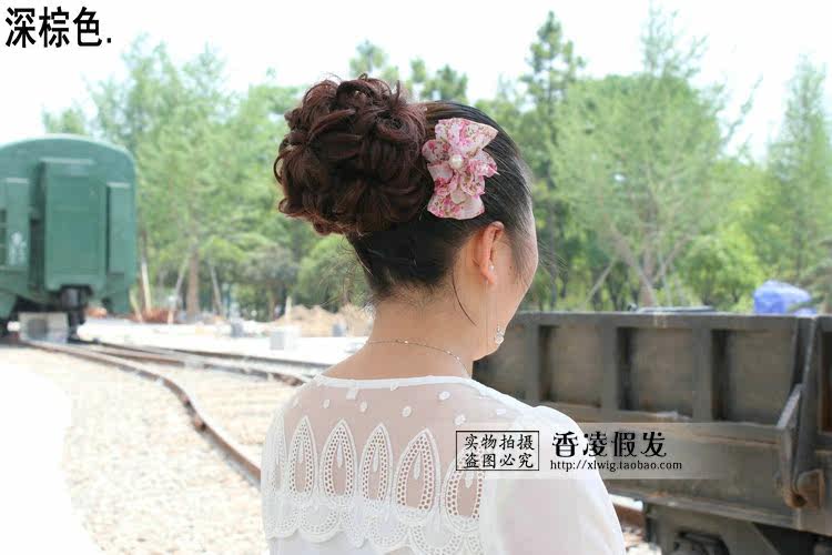 Extension cheveux - Chignon - Ref 235520 Image 13