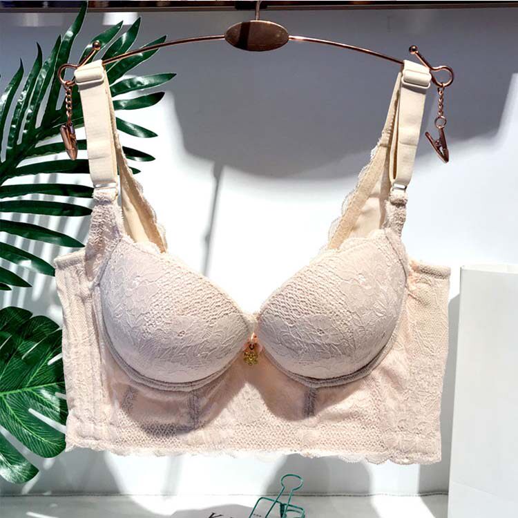 Special cabinet day Sanskrit Schell Convent bra small chest coalestation to adjust type collection Deputy Dairy West Schill lingerie woman