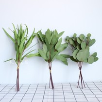 4 branches touch film Eucalyptus Eucalyptus leaves green plant flower arrangement handmade DIY