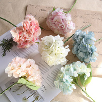 Single-branch hydrangea fake flower simulation big hydrangea head wedding road flower wall home decoration shooting props