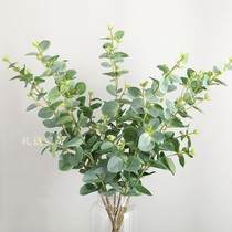 Single branch money leaf eucalyptus leaf simulation green plant potted flower arrangement wedding road flower wall decoration