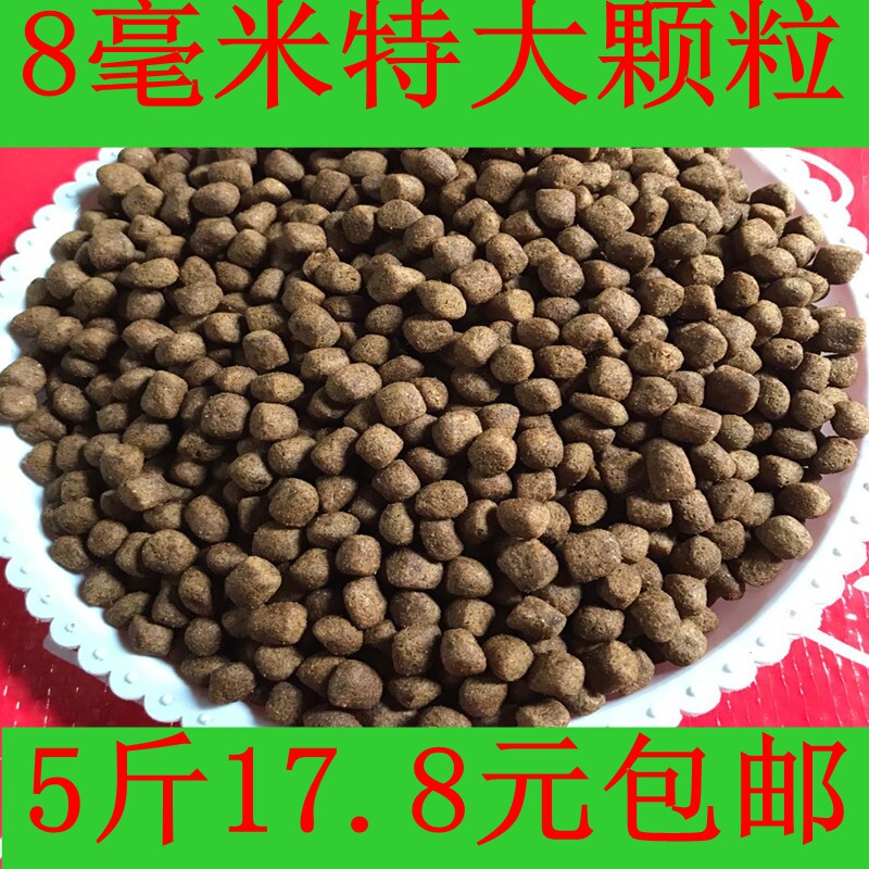 Positive Dragon Card Large Grain Brocade Carp Feed Gold Fish Crucian Carp Carp Carp Feed Hook Fishing Bait