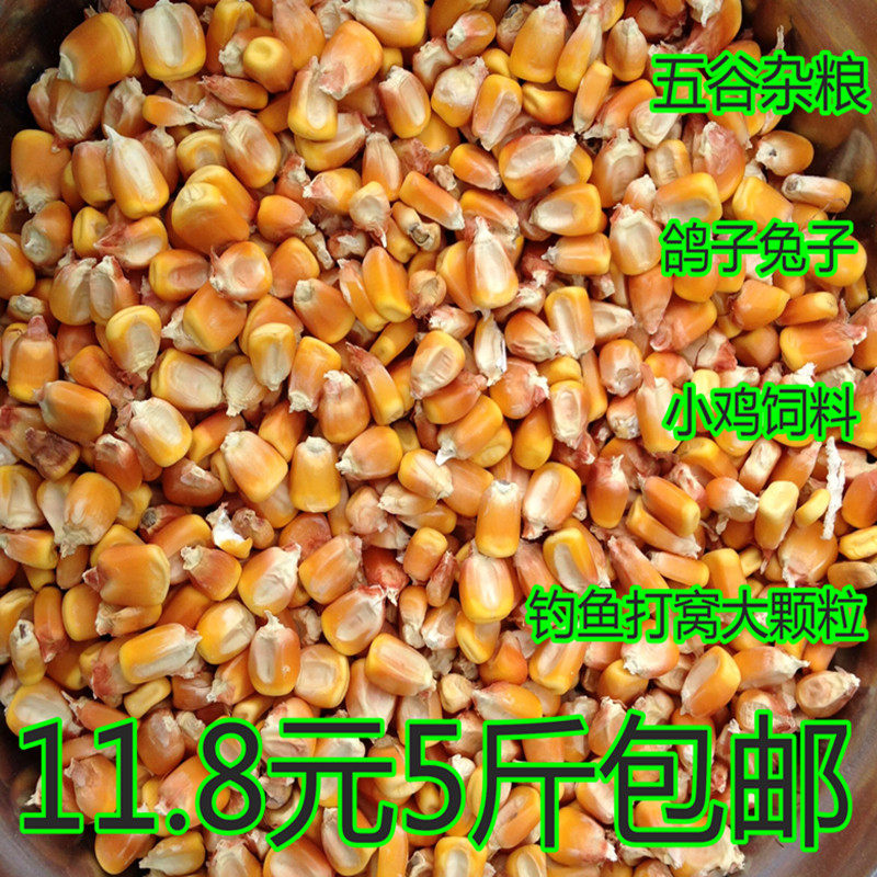 This year, the new farmers produce their own dry corn kernels, big old corn kernels, soy milk, corn, bird food, bait, 5 pounds
